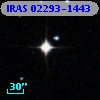 IRAS 02293-1443