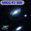 NOGG P2  160