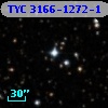 TYC 3166-1272-1