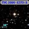 TYC 3166-1273-1
