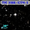 TYC 3166-1274-1