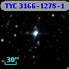 TYC 3166-1278-1