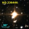 HD 236446