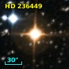 HD 236449