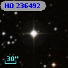 HD 236492