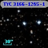 TYC 3166-1285-1