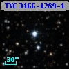TYC 3166-1289-1