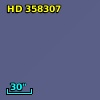 HD 358307