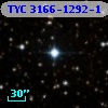 TYC 3166-1292-1
