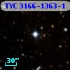 TYC 3166-1363-1