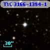 TYC 3166-1384-1