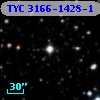 TYC 3166-1428-1