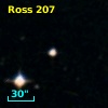 Ross  207