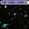 TYC 3166-1439-1