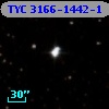 TYC 3166-1442-1