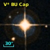 V* BU Cap