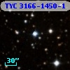 TYC 3166-1450-1