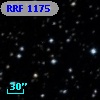 RRF 1175