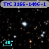 TYC 3166-1486-1