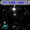 TYC 3166-1487-1