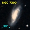 NGC  7300