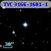 TYC 3166-1601-1