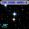 TYC 3166-1603-1