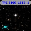 TYC 3166-1612-1