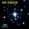 HD 236376