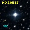HD 236382