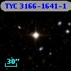 TYC 3166-1641-1