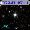 TYC 3166-1674-1