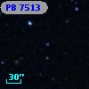 PB  7513