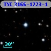 TYC 3166-1723-1