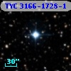 TYC 3166-1728-1