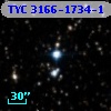 TYC 3166-1734-1