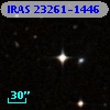 IRAS 23261-1446