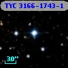 TYC 3166-1743-1