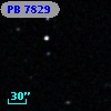 PB  7829