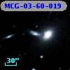 MCG-03-60-019