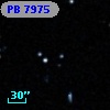 PB  7975