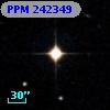 PPM 242349