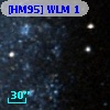 [HM95] WLM  1