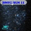 [HM95] WLM 11