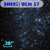 [HM95] WLM 17