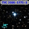 TYC 3166-1775-1