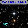 TYC 3166-1784-1