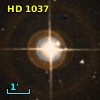 HD   1037