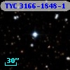 TYC 3166-1848-1