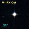 V* RX Cet